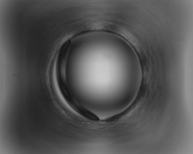 X0000093160485200710031448