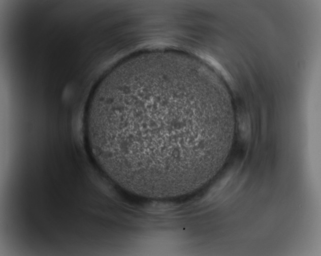 X0000093160487200710031448