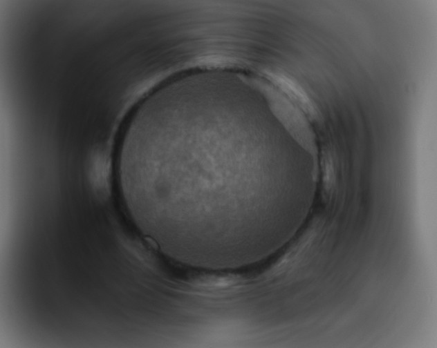 X0000093160488200710031448