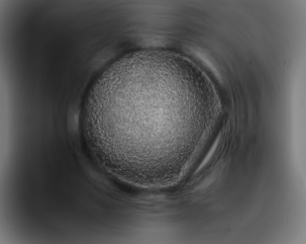 X0000093160491200710031448