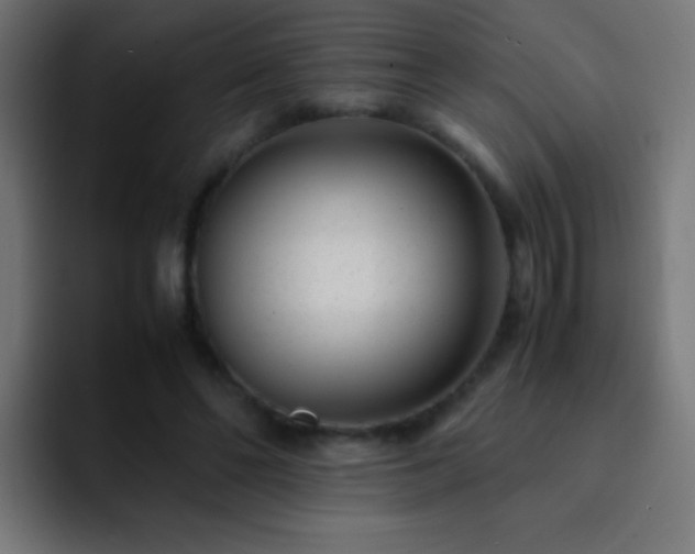 X0000093160494200710031448