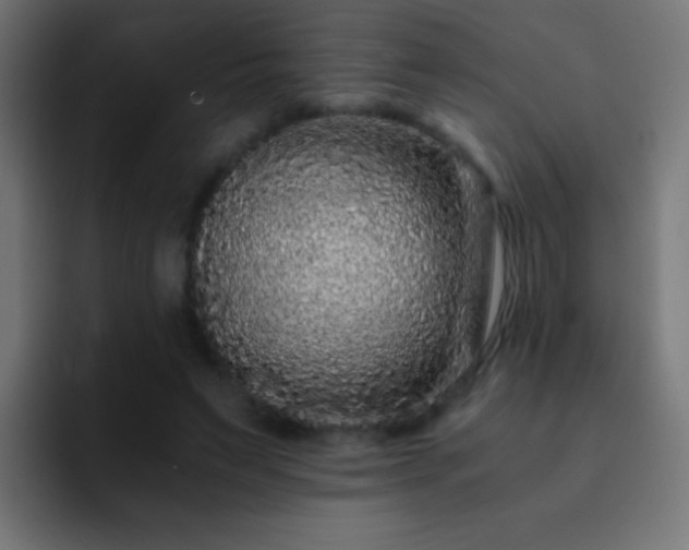 X0000093160495200710031448