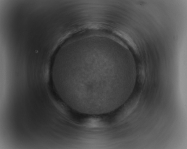 X0000093160496200710031448