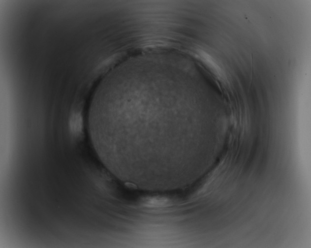 X0000093160500200710031448