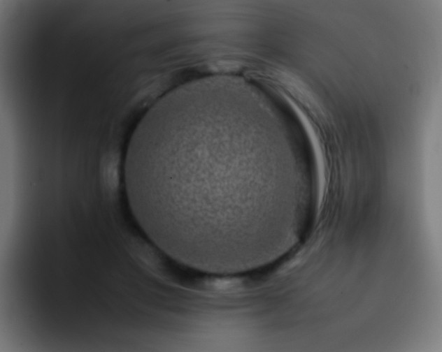 X0000093160501200710031448
