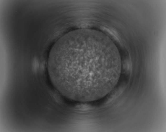 X0000093160503200710031448