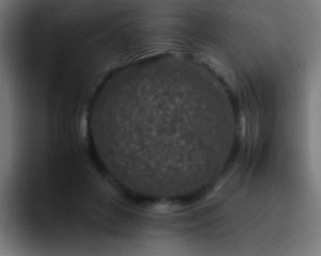 X0000093160504200710031448