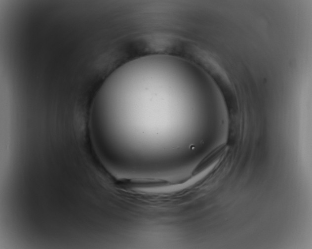 X0000093160505200710031448