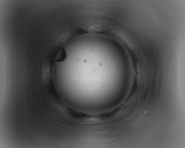 X0000093160506200710031448