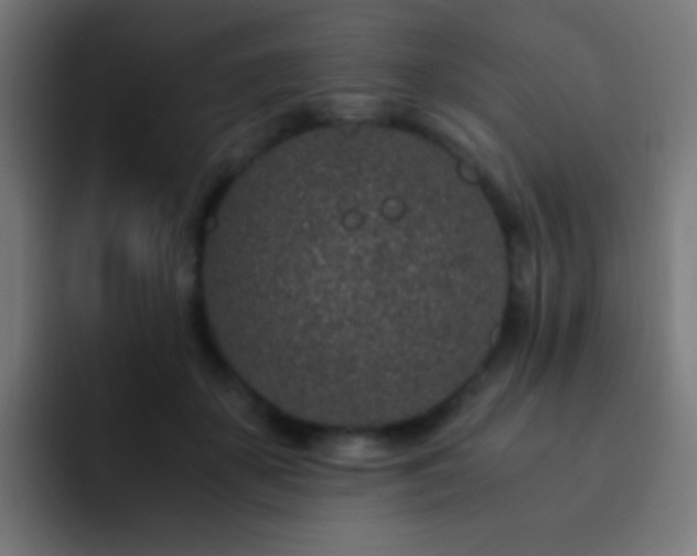 X0000093160507200710031448