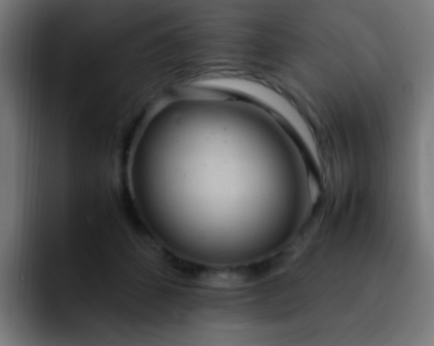 X0000093160512200710031448