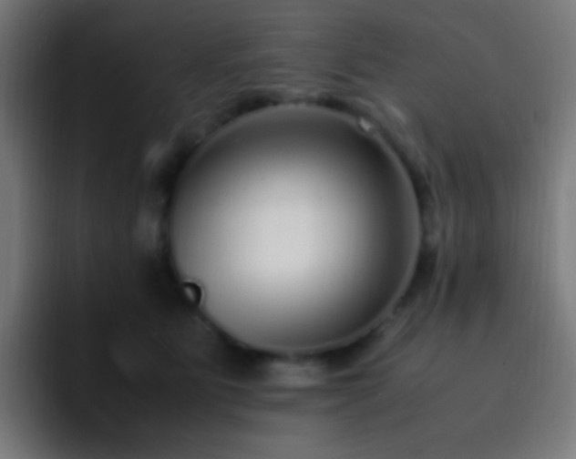 X0000093160515200710031448