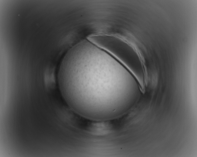 X0000093160516200710031448
