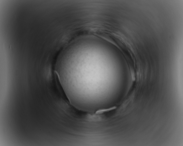 X0000093160520200710031448