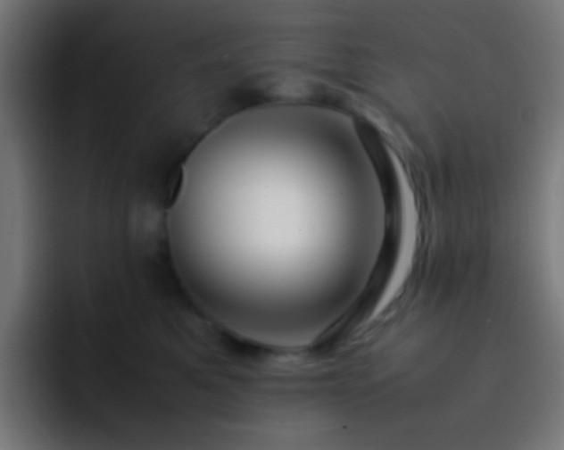 X0000093160521200710031448