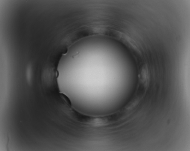 X0000093160522200710031448