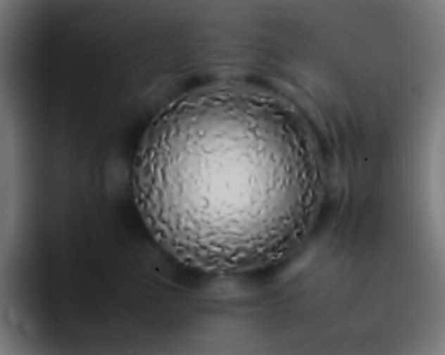 X0000093160523200710031448