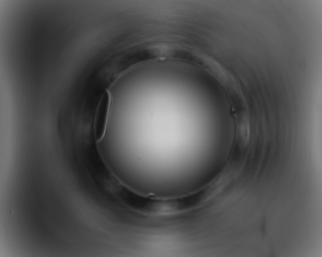 X0000093160525200710031448