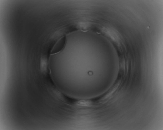 X0000093160526200710031448