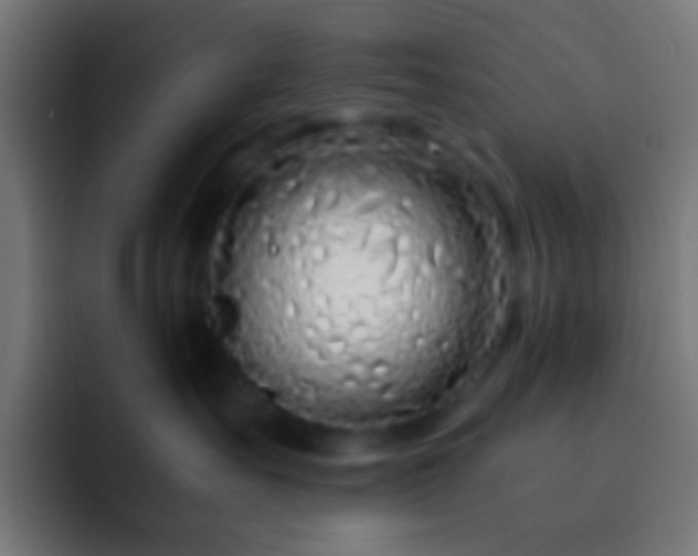 X0000093160527200710031448