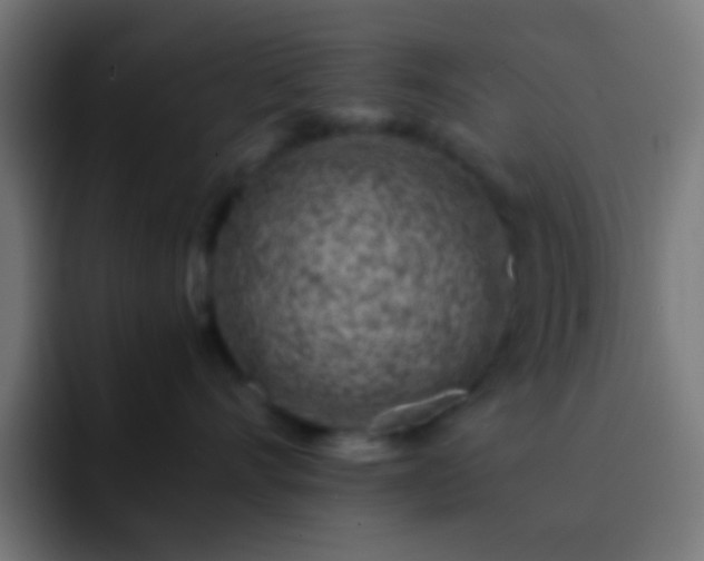 X0000093160528200710031448