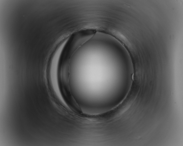 X0000093160530200710031447