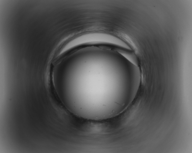 X0000093160531200710031447