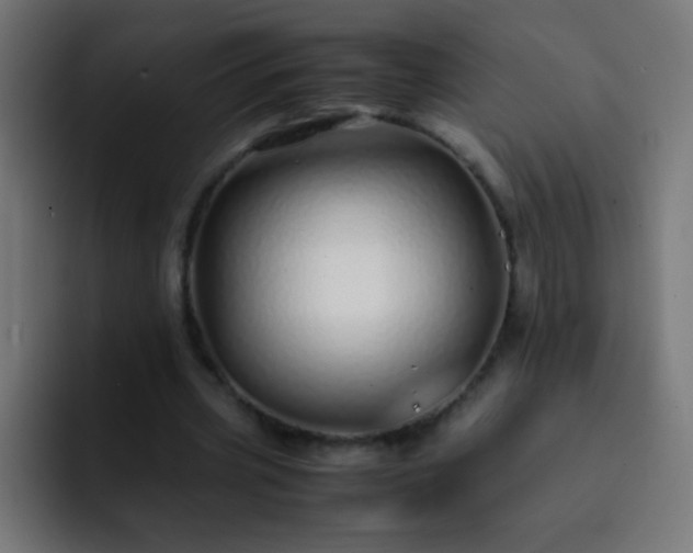 X0000093160533200710031447