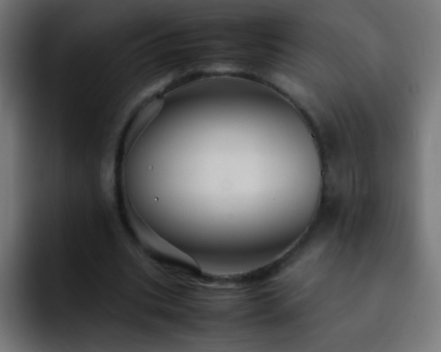 X0000093160535200710031447