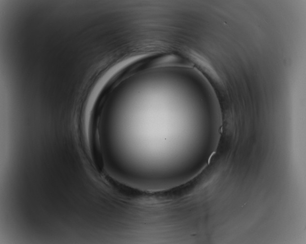 X0000093160538200710031448