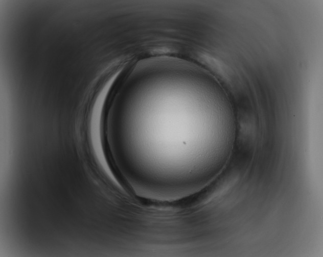 X0000093160539200710031448
