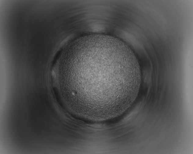 X0000093160542200710031448