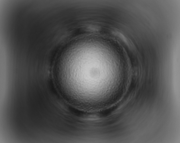 X0000093160553200710031448