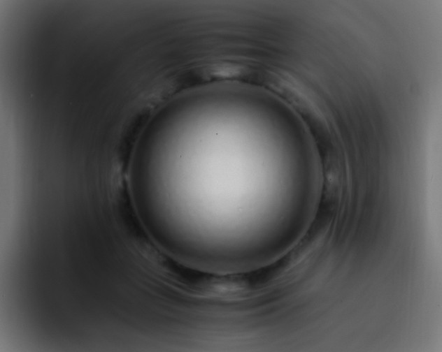 X0000093160555200710031448