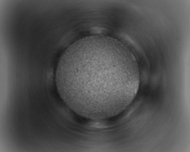X0000093160557200710031448