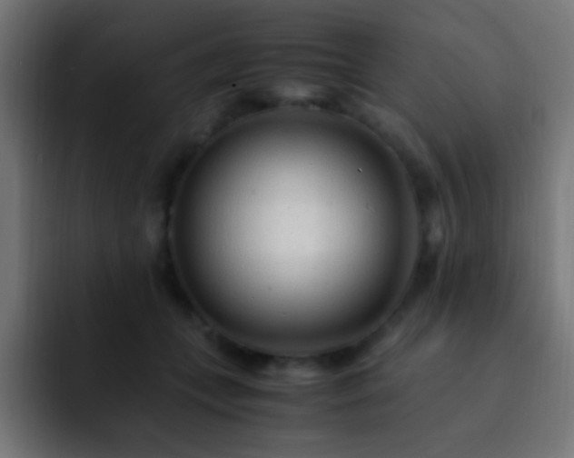 X0000093160559200710031448
