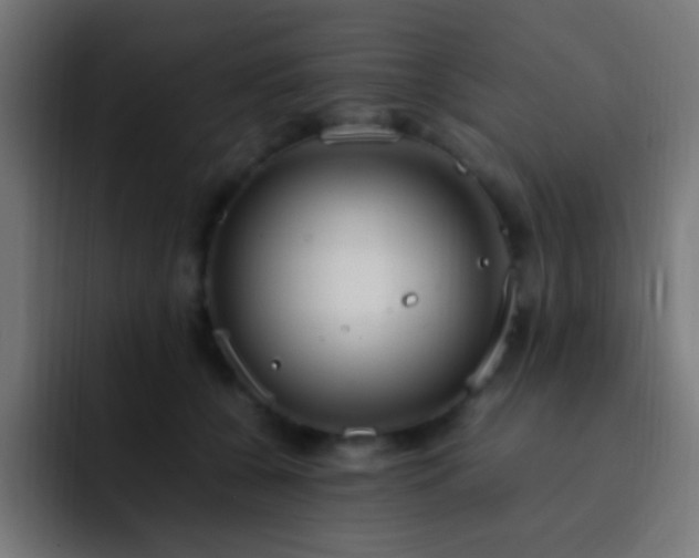 X0000093160560200710031448