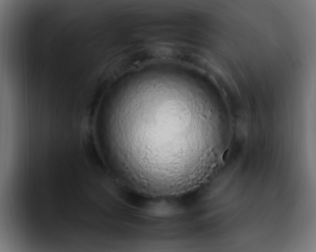 X0000093160561200710031448