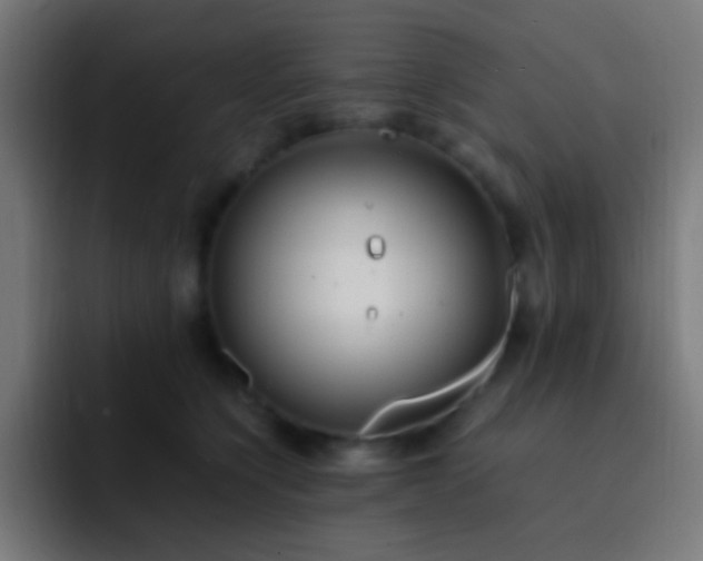 X0000093160564200710031448