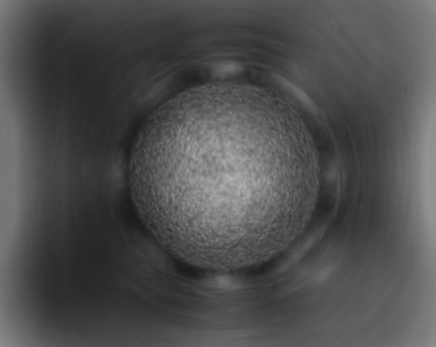 X0000093160565200710031448