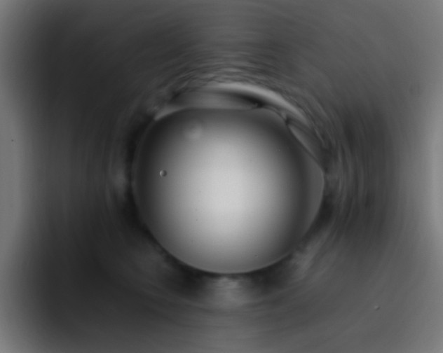 X0000093160566200710031448