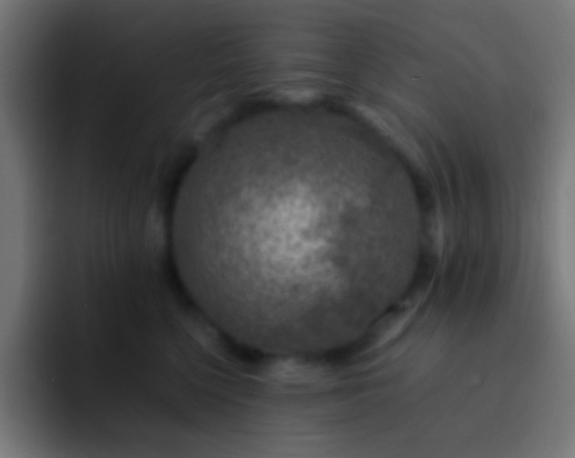 X0000093160568200710031448