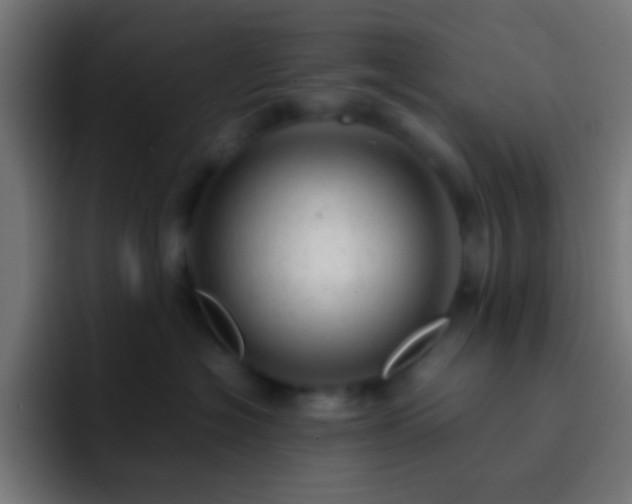 X0000093160574200710031448