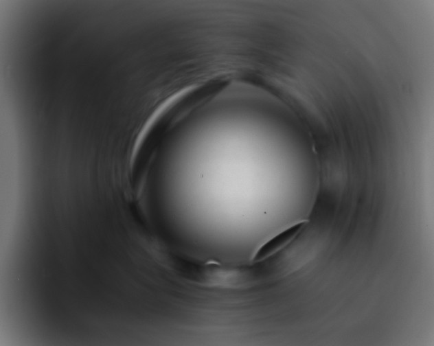 X0000093160575200710031448