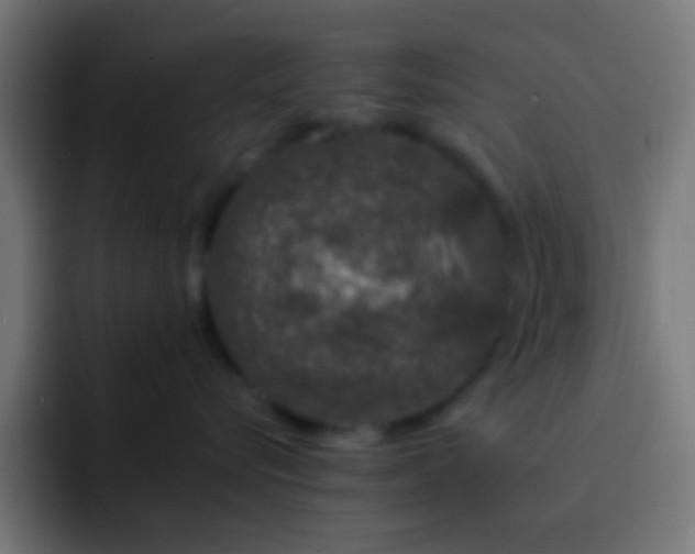 X0000093160576200710031448