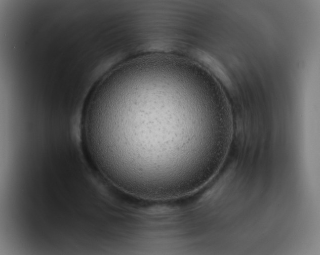 X0000093160578200710031447