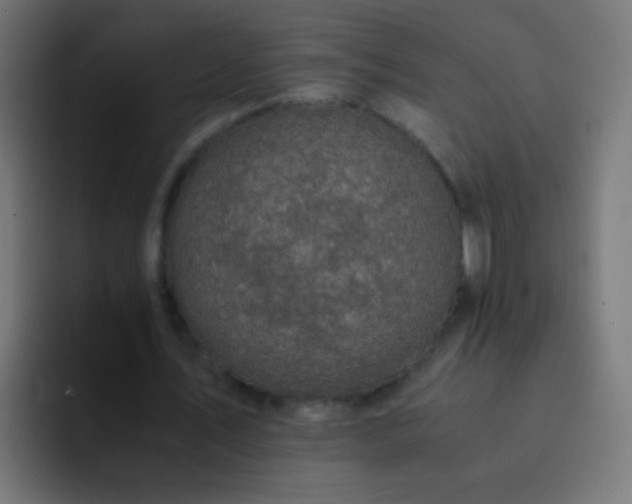 X0000093160579200710031447