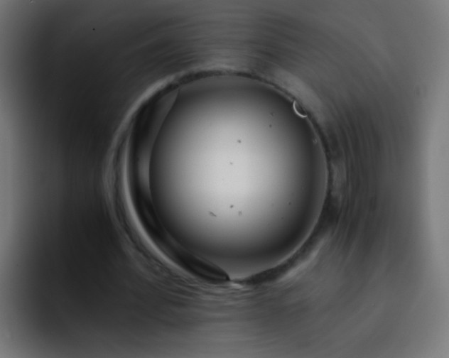 X0000093160580200710031447