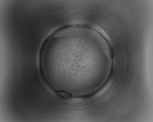 X0000093160581200710031447