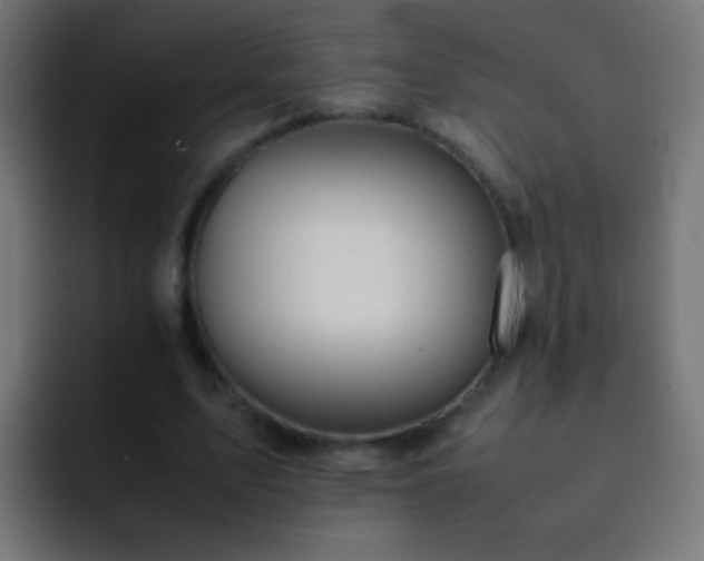 X0000093160583200710031447